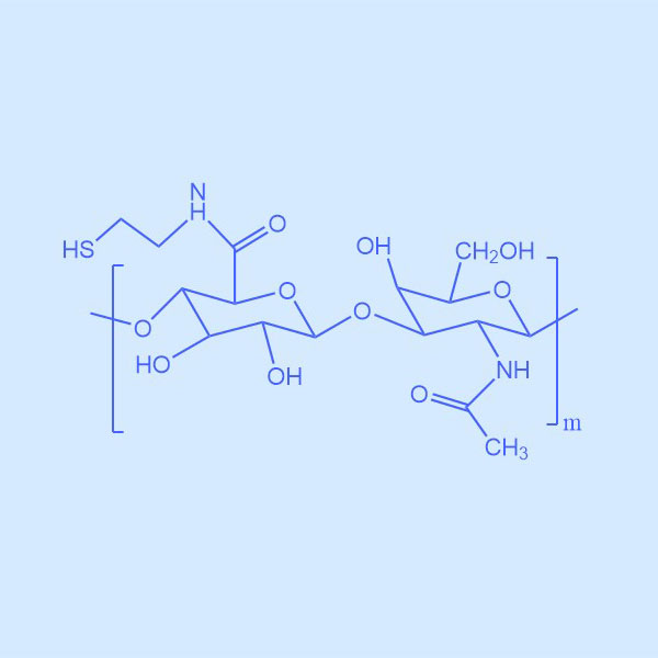 透明质酸巯基HA-SH,HA-SH,巯基化的透明质酸
