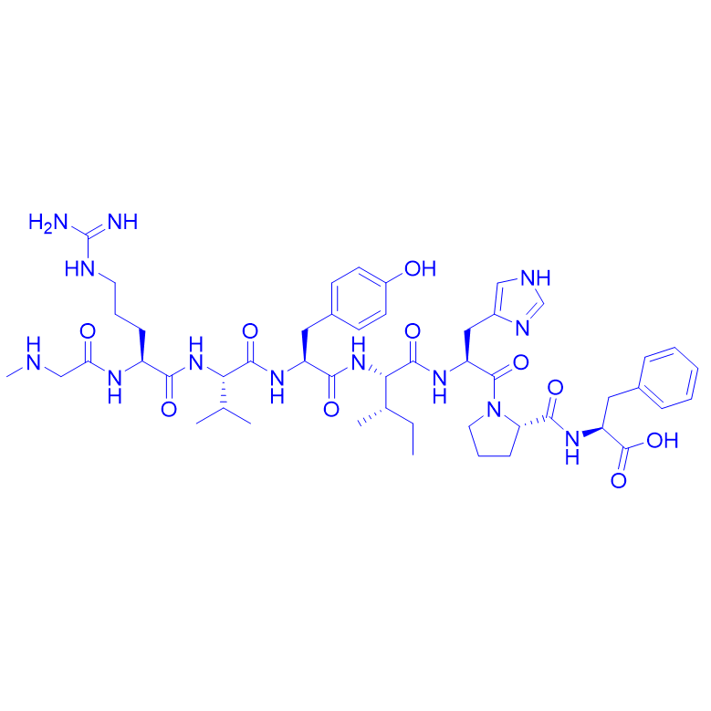 [Sar1]-血管紧张素II/51833-69-3/[Sar1] Angiotensin II