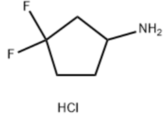 3,3-二氟环戊-1-胺盐酸盐