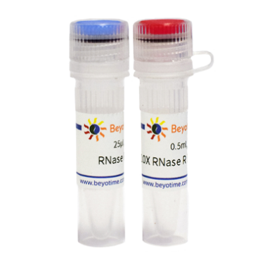 RNase R