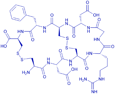 整合蛋白肽RGD-4C/332179-76-7/上海鸿肽多肽厂家