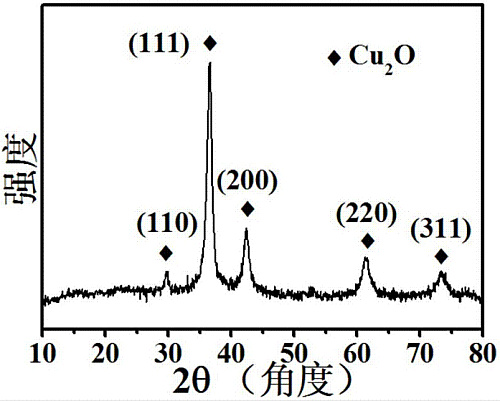 纳米氧化亚铜，50-80nm高纯氧化亚铜，超细氧化亚铜