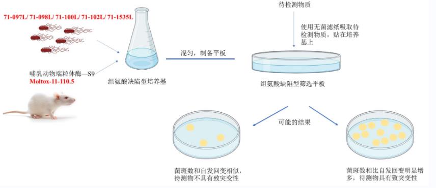 Moltox试验