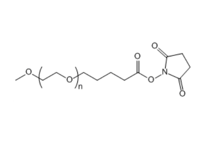 mPEG-SVA 甲氧基聚乙二醇-琥珀酰亚胺戊酸酯