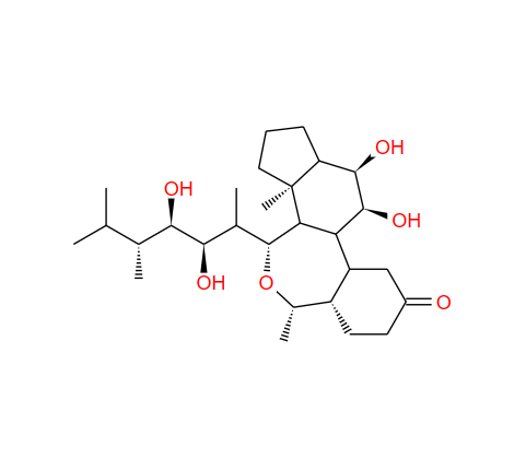 表油菜素内酯