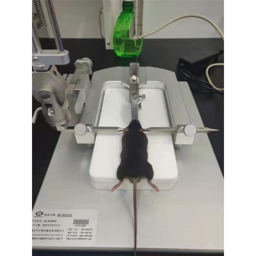 小动物脑定位仪 数显式脑立体定位仪 大鼠脑定位仪