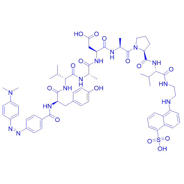 caspase-1荧光底物肽/161877-70-9/Dabcyl-YVADAPV-Edans