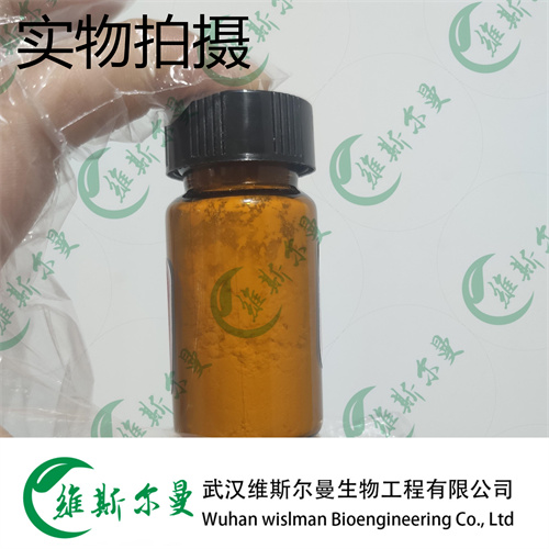 硫酸长春新碱 2068-78-2 维斯尔曼生物高纯试剂 13419635609