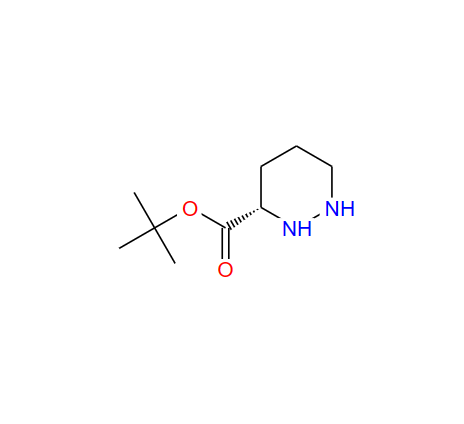 (S)-叔丁基六氢哒嗪-3-羧酸酯 104069-74-1