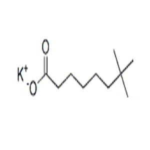 新癸酸钾 催化剂 26761-42-2