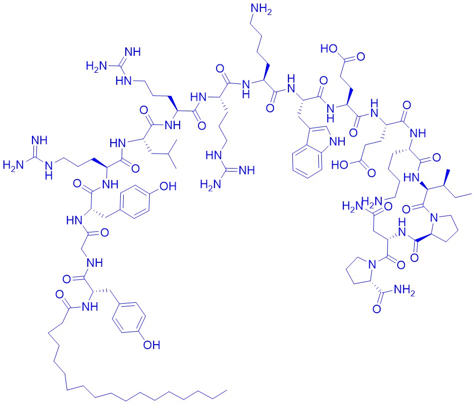 抑制剂多肽Lyn peptide inhibitor/222018-18-0
