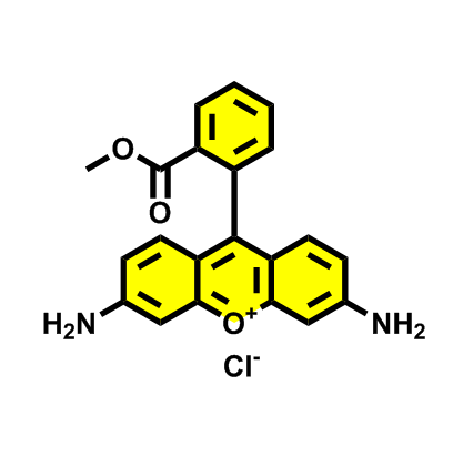 62669-70-9 ；罗丹明123