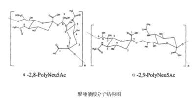 WeChat0ad6bdb1cfd4a3a01ec87f32d9a6b388.png