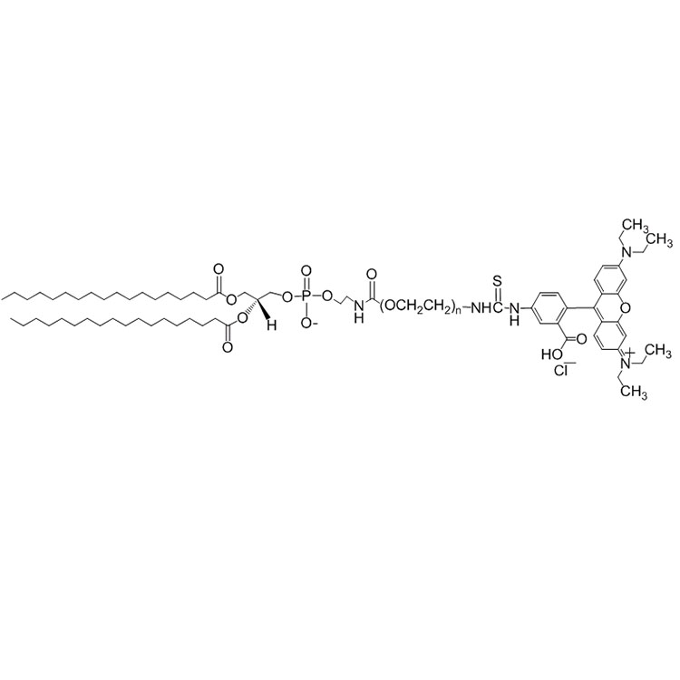 DSPE-PEG-RB，磷脂-聚乙二醇-罗丹明