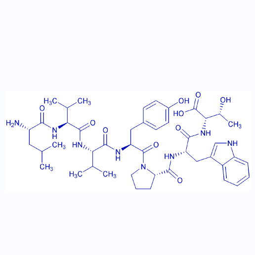 内源性多肽Spinorphin/137201-62-8/鸿肽生物多肽合成