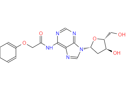 2'-脱氧-N6-苯氧基乙酰基腺苷