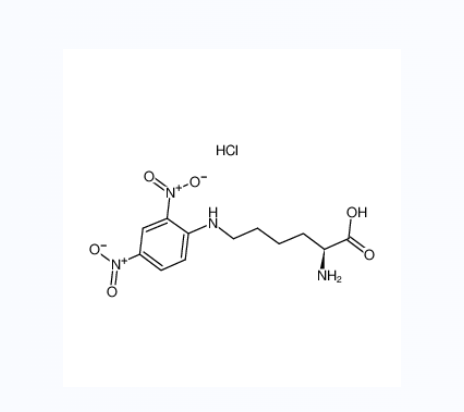 NΕ-(2,4-二硝基苯基)-L-赖氨酸盐酸盐