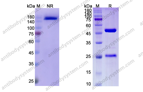 阿利鲁单抗，Abrilumab，anti-ITGA4/ITGB7 antibody 抗体