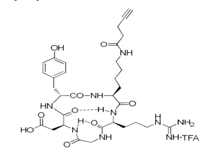 Pentynoic cyclic RGDyK