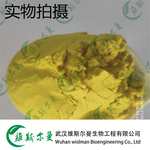 盐酸金霉素 64-72-2 维斯尔曼生物高纯试剂 13419635609
