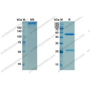 伊巴组单抗，Ibalizumab，anti-CD4 antibody 抗体