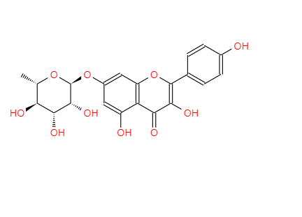 山奈酚-7-O-鼠李糖苷 20196-89-8