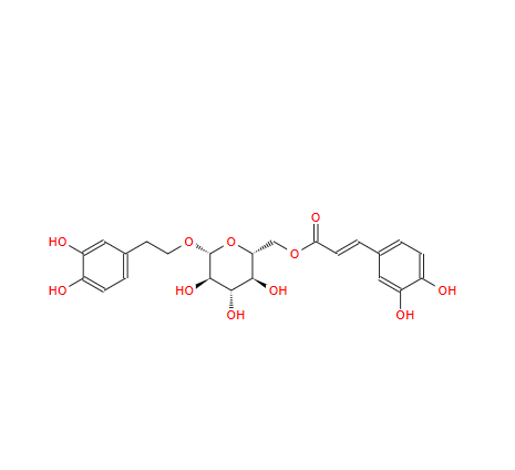 木通苯乙醇苷 B