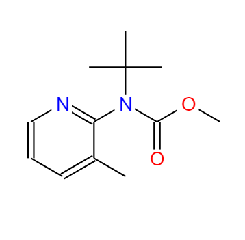 methyl tert-butyl(3-methylpyridin-2-yl)carbamate 1260403-56-2