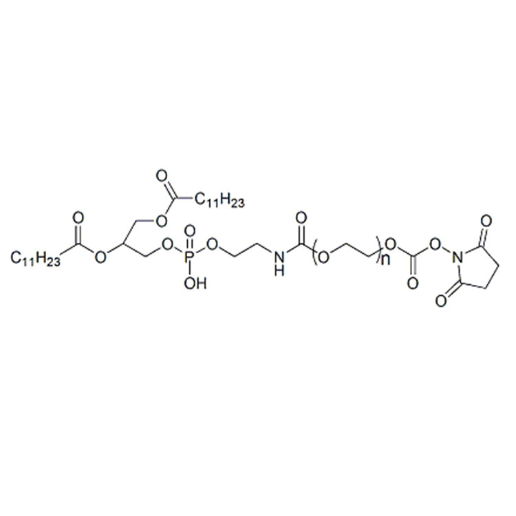 DLPE-PEG-NHS，二月桂酰基磷脂酰乙醇胺-聚乙二醇-琥珀酰亚胺酯