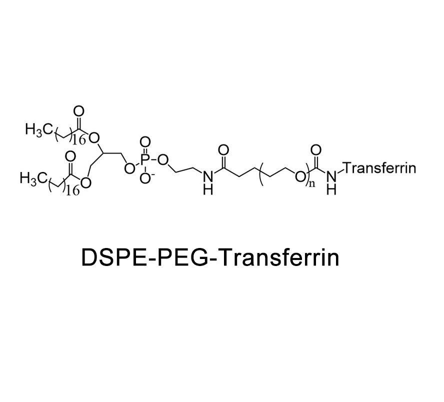 二硬脂酰基磷脂酰乙醇胺-聚乙二醇-乳铁蛋白,DSPE-PEG-Lactoferrin