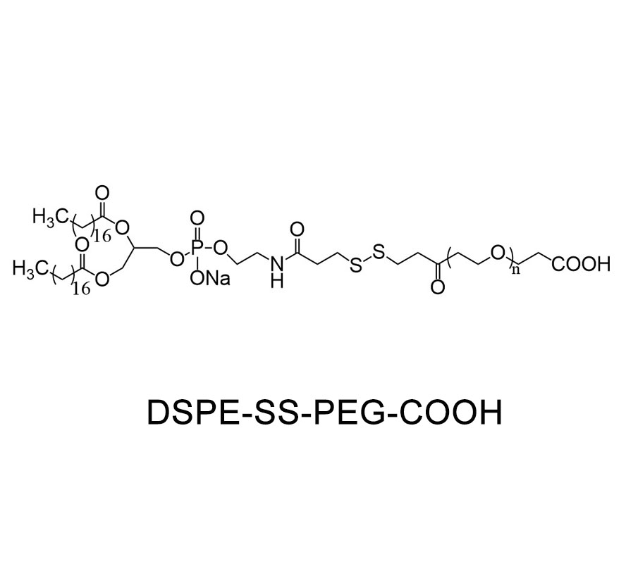二硬脂酰基磷脂酰乙醇胺-酮缩硫醇-甲氧基聚乙二醇DSPE-TK-PEG