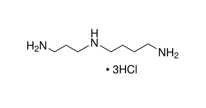 亚精胺三盐酸盐