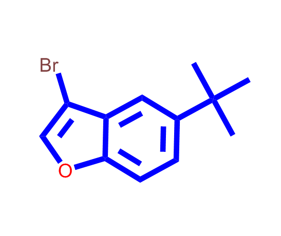3-溴-5-叔丁基苯并呋喃