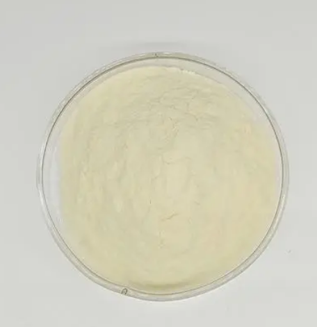 173194-95-1；6-羟基萘-2-硼酸