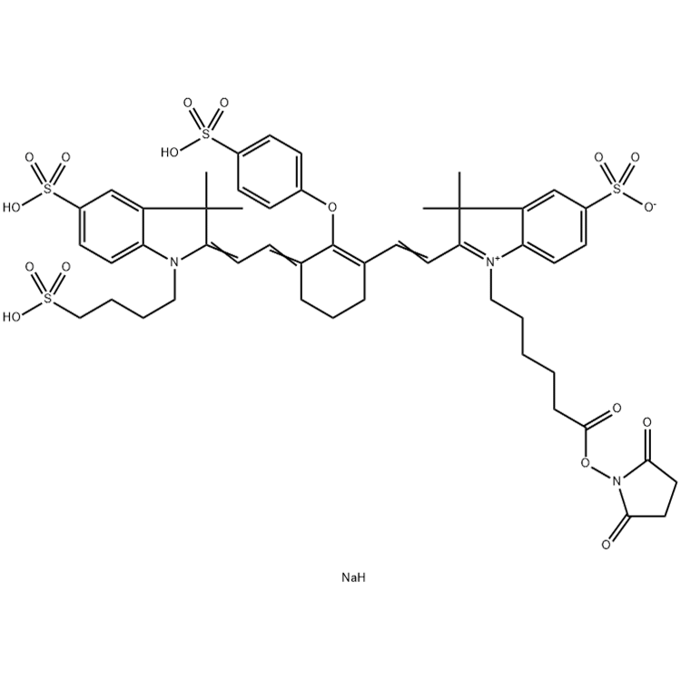 956579-01-4 ，IR800 NHS，IR800 琥珀酰亚胺酯