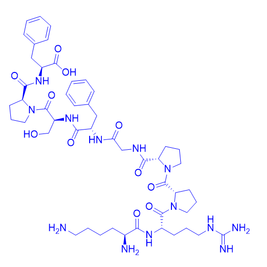 血管舒缓激肽-Lys-(Des-Arg9)/71800-36-7/Lys-(Des-Arg9)-Bradykinin