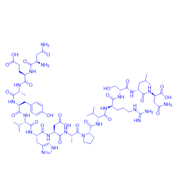 白细胞介素-1β转化酶底物多肽/143305-11-7/Interleukin-1β Convertase Substrate