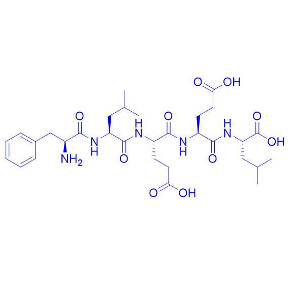 苯丙酰氨-亮酰氨-谷酰氨-谷酰氨-亮氨酸/69729-06-2/FLEEL