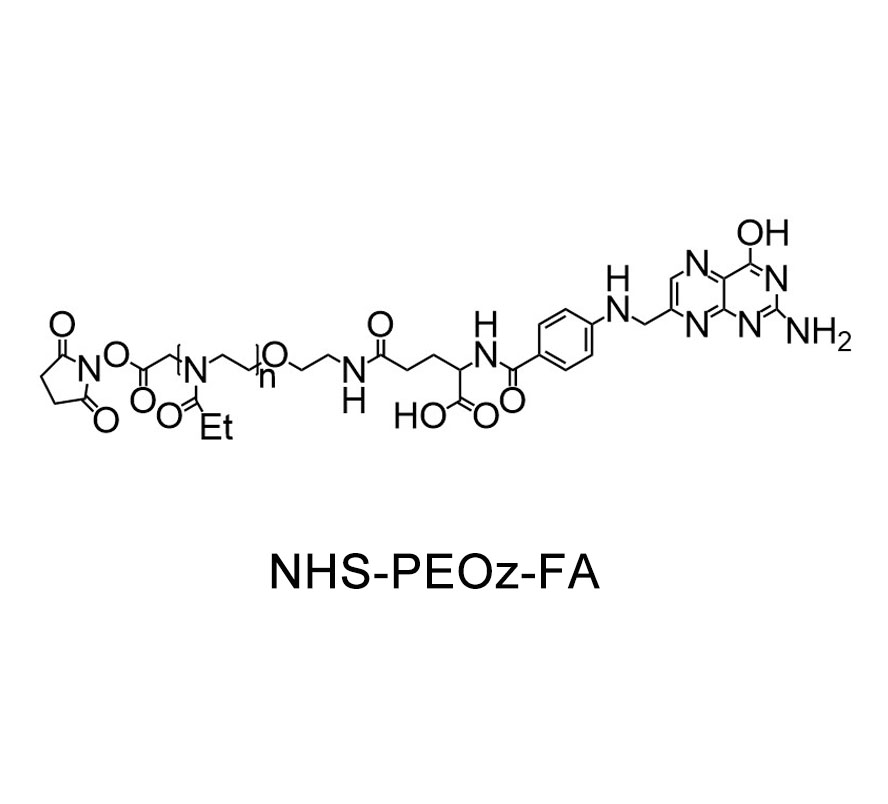 琥珀酰亚胺酯-聚(2-乙基-2-噁唑啉)-叶酸；NHS-PEOz-FA