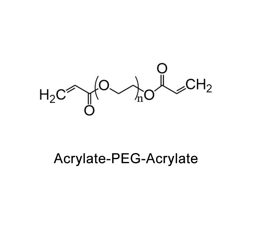 丙烯酸酯-聚乙二醇-丙烯酸酯；AC-PEG-AC