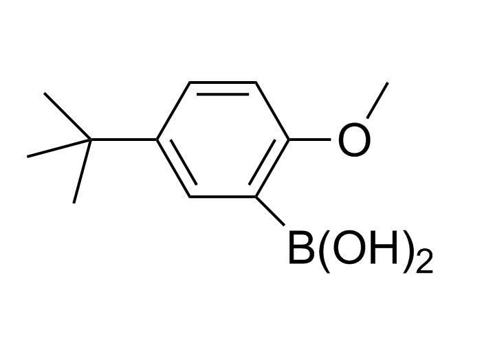 2-甲氧基-5-叔丁基苯硼酸 128733-85-7