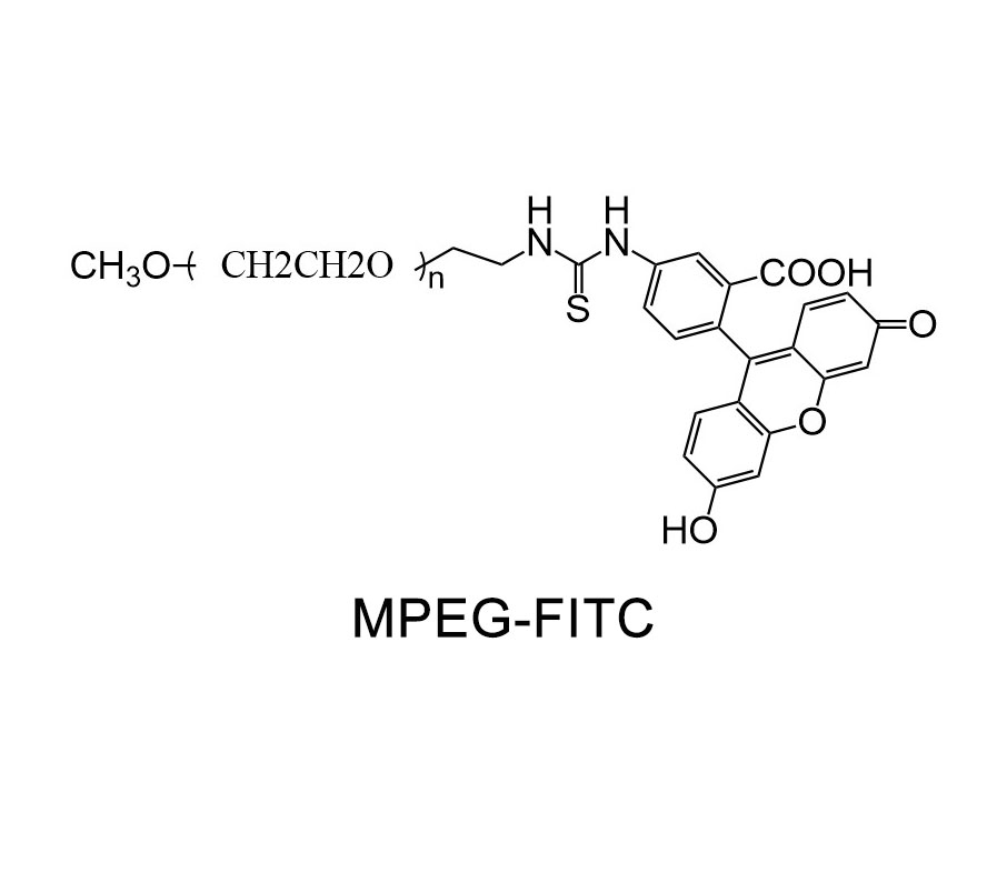 甲氧基聚乙二醇-荧光素；MPEG-FITC