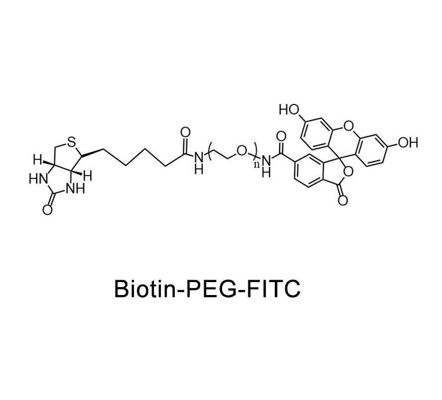 荧光素-聚乙二醇-生物素；FITC-PEG-Biotin；Fluorescein-PEG-Biotin