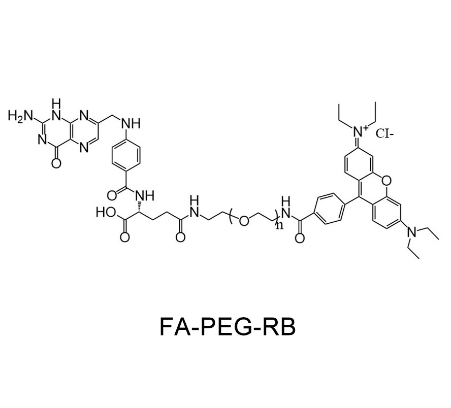 叶酸-聚乙二醇-罗丹明；FA-PEG-RB
