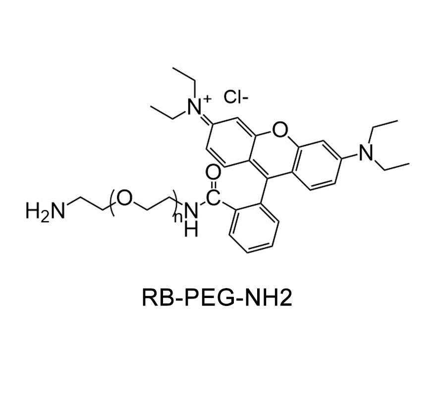 罗丹明-聚乙二醇-氨基；RB-PEG-NH2