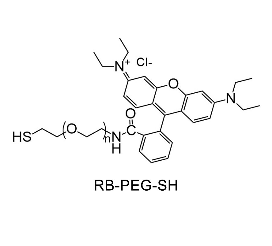 罗丹明-聚乙二醇-巯基；RB-PEG-SH