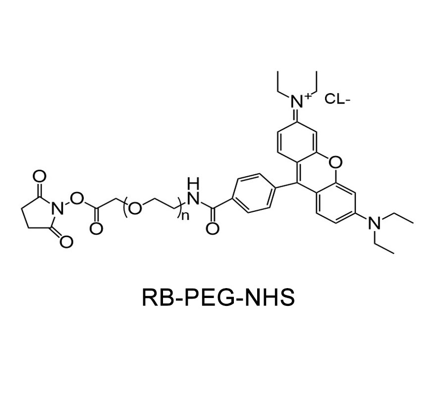 罗丹明-聚乙二醇-活性酯；RB-PEG-NHS