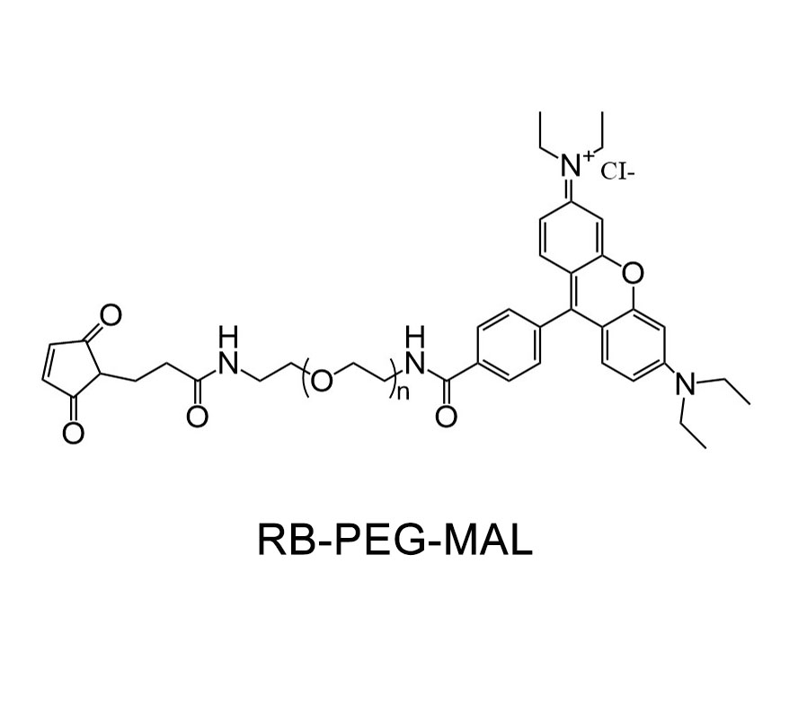 罗丹明-聚乙二醇-马来酰亚胺；RB-PEG-MAL