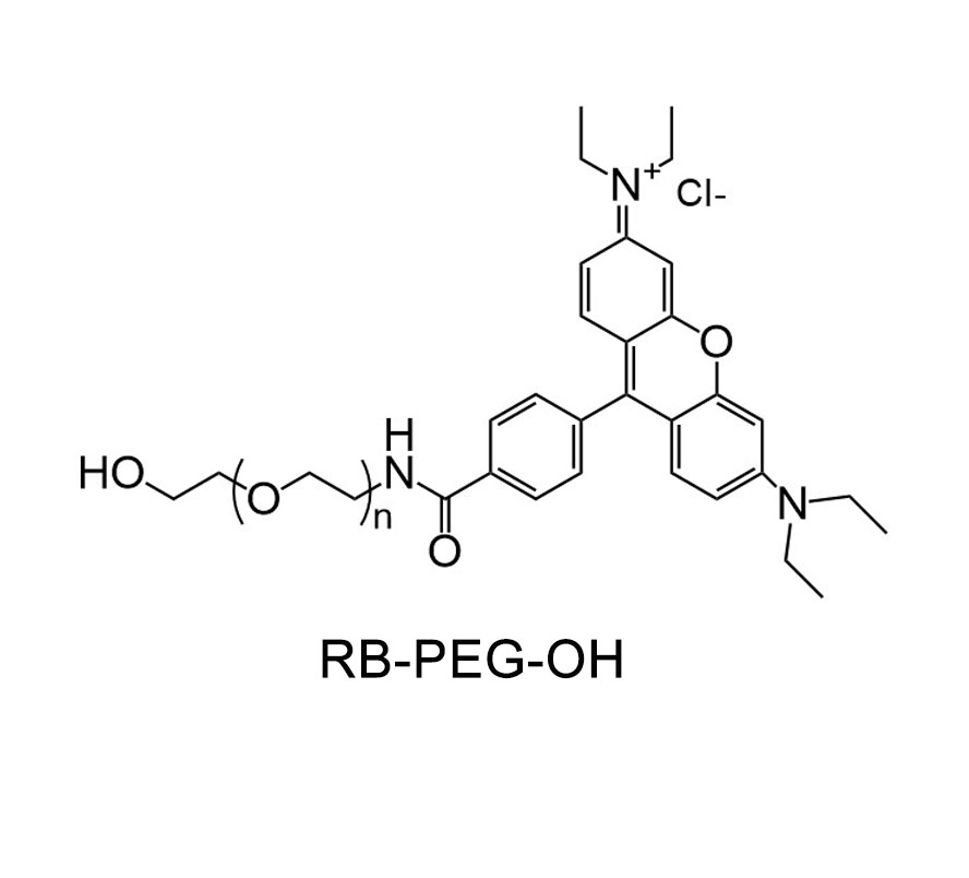 罗丹明-聚乙二醇-羟基；RB-PEG-OH