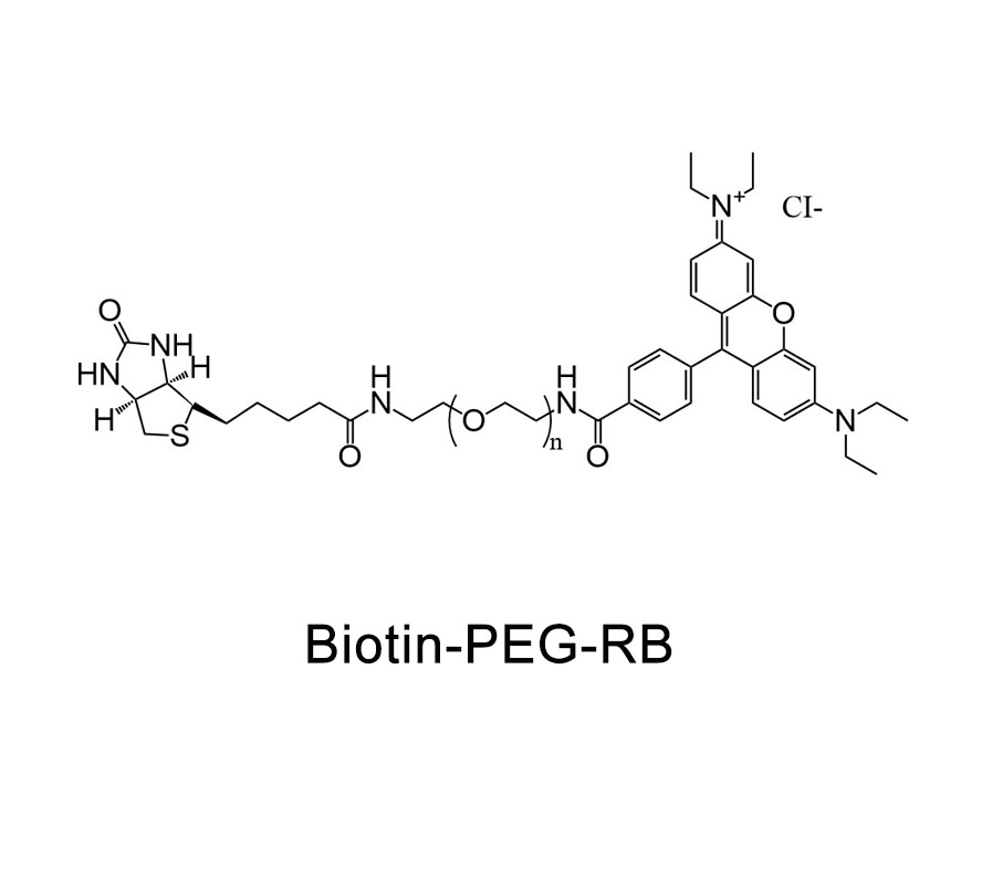 生物素-聚乙二醇-罗丹明；RB-PEG-Biotin